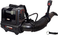 Conjunto Parkside Performance: Mochila Soplador de Hojas con Batería 40V + Llavero
